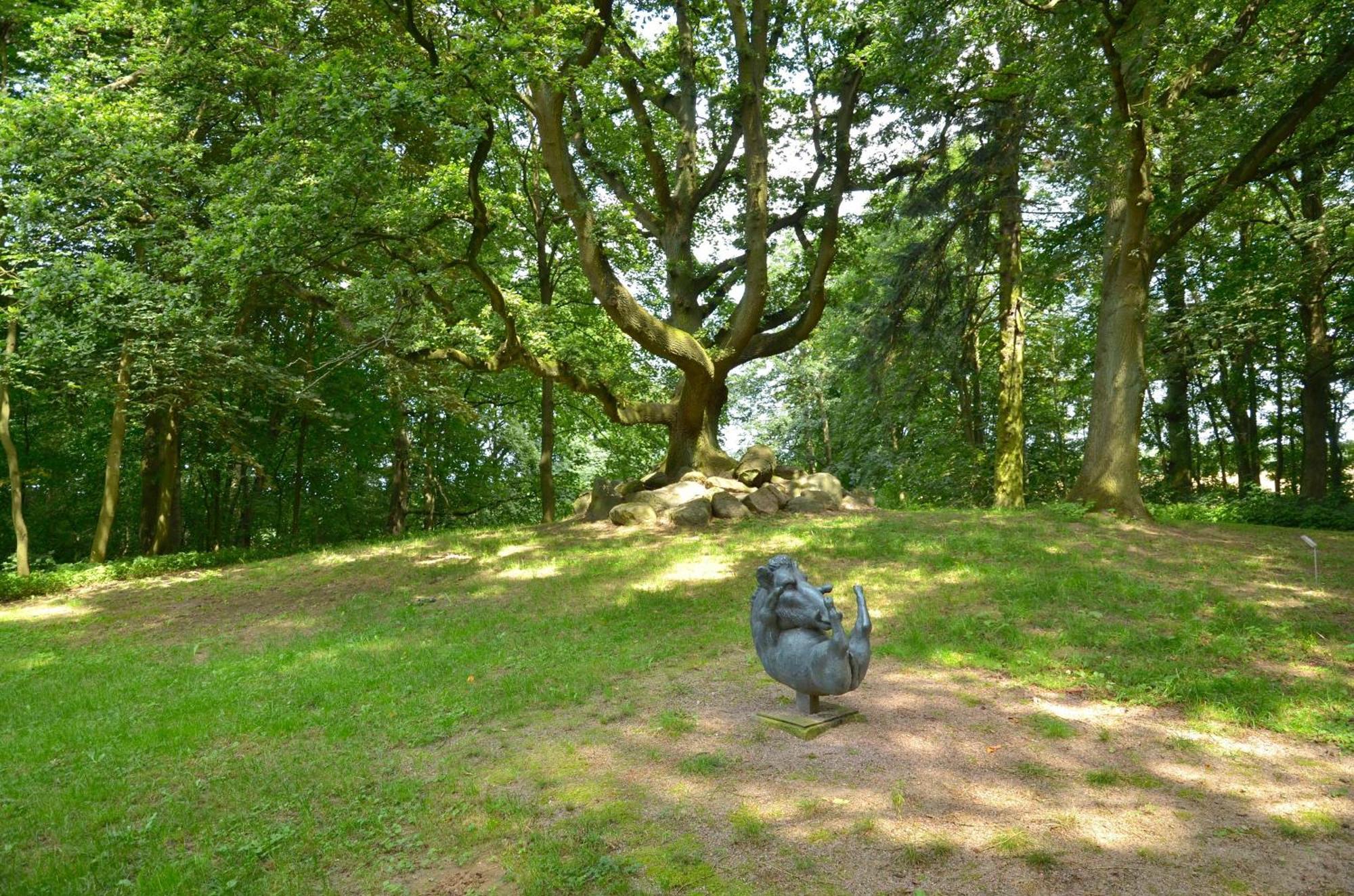 Jagdschloss Zu Hohen Niendorf Fewo 2 Exteriér fotografie